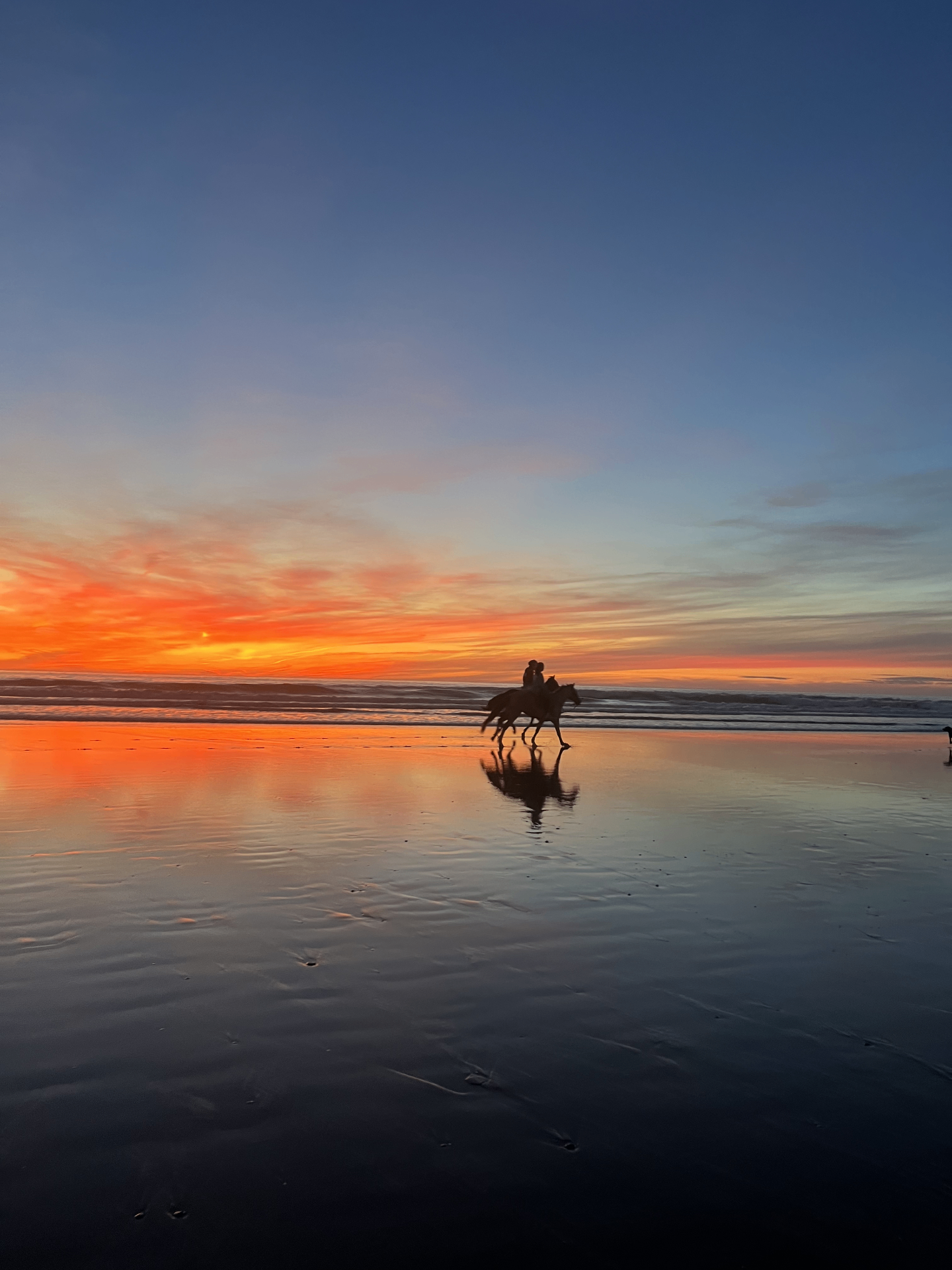 Taghazout — Atlas & Agadir coast